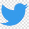 𝕏 Twitter